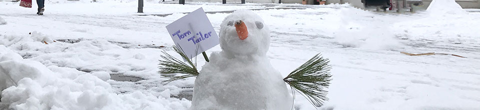 Schongauer Schneemannflashmob